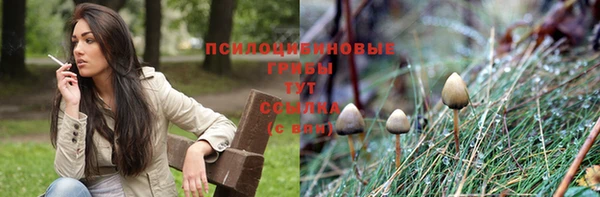 кристаллы Арсеньев