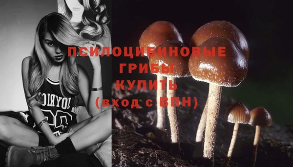 спиды Баксан