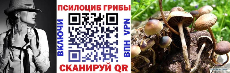 даркнет сайт  даркнет как зайти  Галлюциногенные грибы мухоморы  Богородск  OMG сайт 